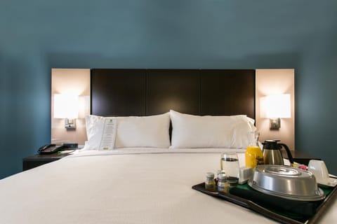 Holiday Inn Hotel & Suites Chattanooga, an IHG Hotel Hôtel in Chattanooga