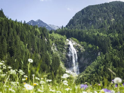 Spring, Natural landscape, On site