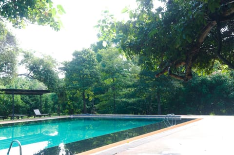 Natural landscape, Summer, Swimming pool