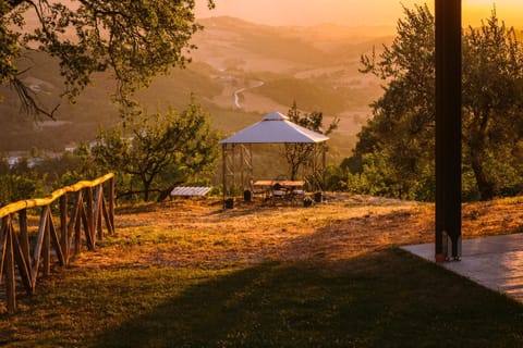 Patio, Garden, Sunset