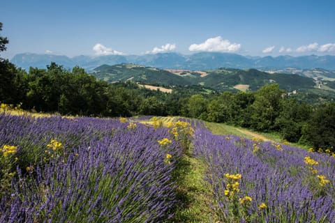 Natural landscape, Hiking, Mountain view