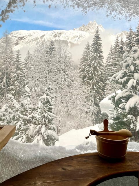 Bird's eye view, Garden, Sauna, View (from property/room), Mountain view