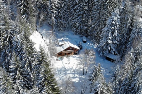 Property building, Natural landscape, Bird's eye view, Winter, View (from property/room), Location