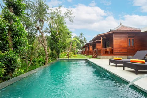 Natural landscape, Garden, Pool view, Swimming pool, sunbed