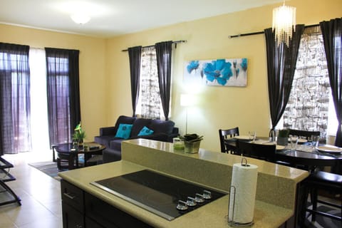 Eclipse Suite Guest Apartment Condo in Kingston