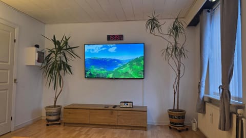 TV and multimedia