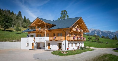Property building, Summer