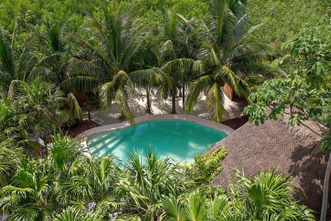 Garden, Swimming pool