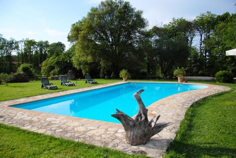 Garden, Swimming pool