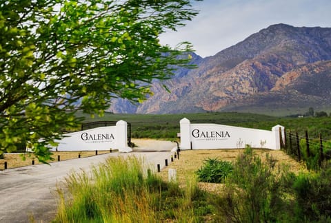 Galenia Estate guesthouse in Western Cape