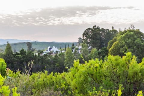 Galenia Estate Bed and Breakfast in Western Cape