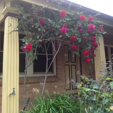 Oats Cottage House in Hahndorf