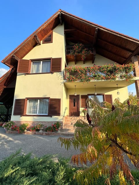 Vila Old Cars Übernachtung mit Frühstück in Brașov County