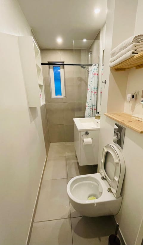 Shower, Toilet, Bathroom, towels