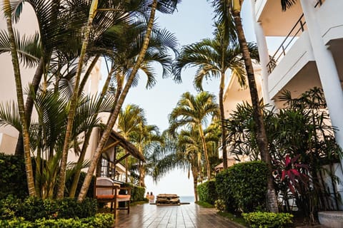 Patio, Facade/entrance, Garden