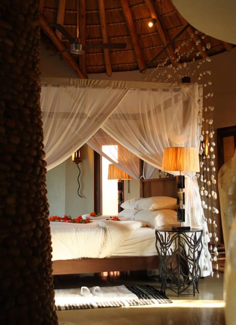 Thanda Safari Lodge nature in KwaZulu-Natal