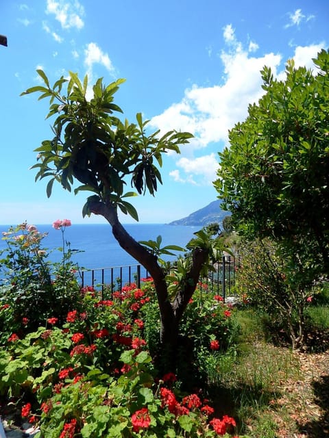 Garden, Sea view