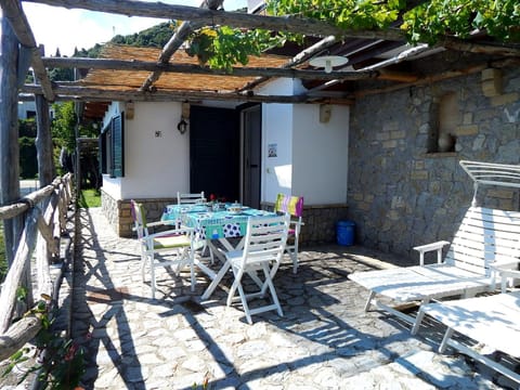 Patio, Garden, Balcony/Terrace