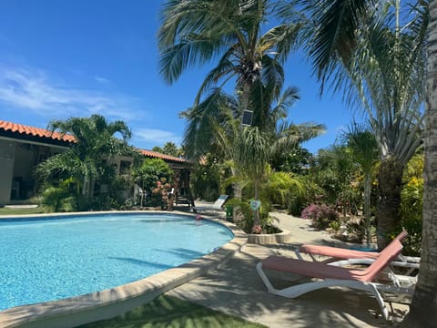 Garden, Garden view, Pool view, sunbed