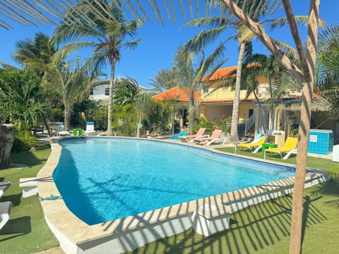 Garden, Garden view, Pool view, Swimming pool