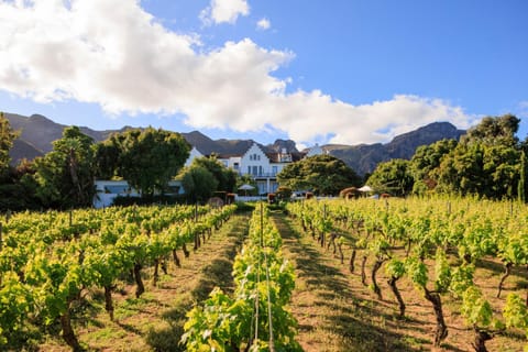 Garden, Mountain view