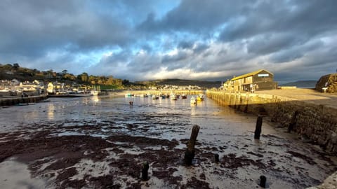 Charnwood Guest House Alojamiento y desayuno in Lyme Regis