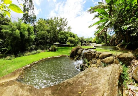 Natural landscape, Pool view, Swimming pool