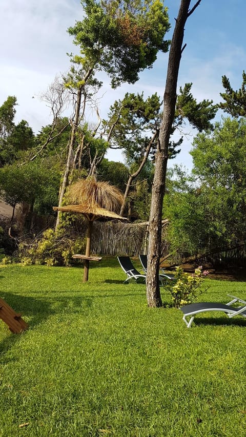 Cabañas Victoria Nature lodge in Mar de las Pampas