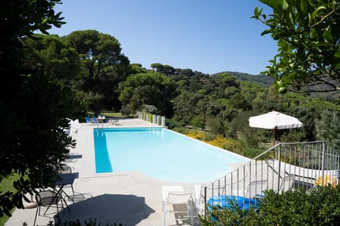Natural landscape, Pool view, Swimming pool, Swimming pool, sunbed