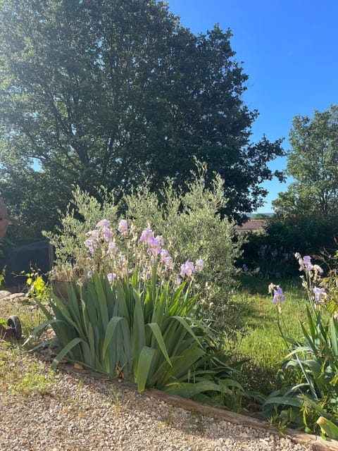 Maison de 89m2 Villa in Lorgues