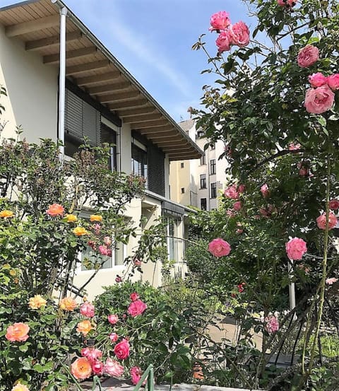 Property building, Summer