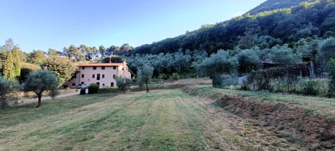 Landmark view