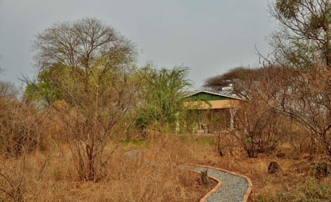 Muchenje Self Catering Cottages Chalet in Zambia