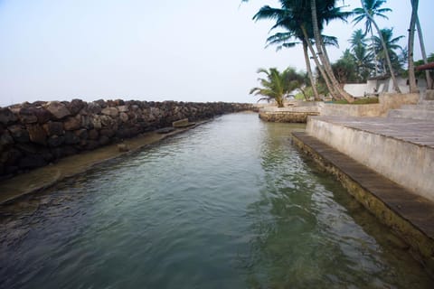 View (from property/room), Swimming pool