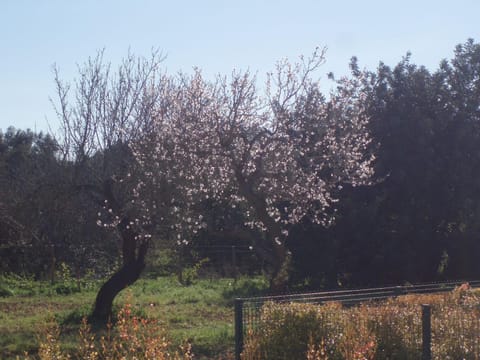 Spring, Off site, Day, Natural landscape, On site, Garden view, Mountain view