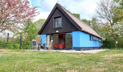 Property building, Garden view