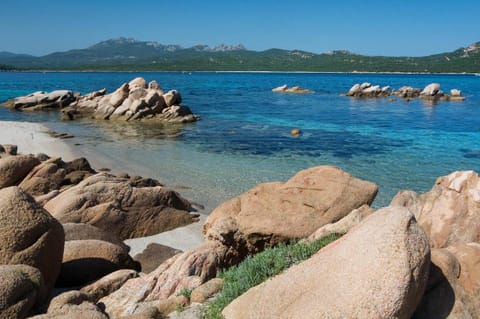 Natural landscape, Beach