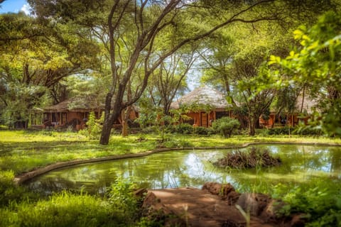 Amboseli Sopa Lodge Nature lodge in Kenya