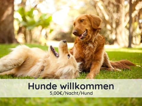 Der Fuchsbau - Fewo LePetit - im sonnigen Harz - Hunde willkommen - 100m bis zum Wald - FREE WLAN Condo in Bad Sachsa