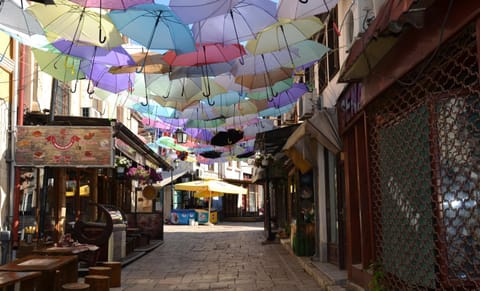 Spring, Day, City view, Street view