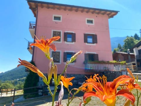 Fleurs De Neige Apartment in Aosta Valley, Italy