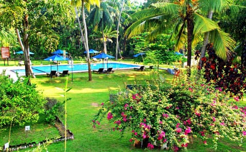Oreeka - Katunayake Airport Transit Hotels Hotel in Negombo