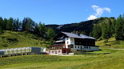 Hotel Alpen Arnika Hôtel in Salzburgerland