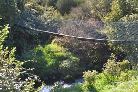 Platinum Lodge Nature lodge in Taranaki, New Zealand