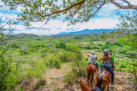 Horse-riding