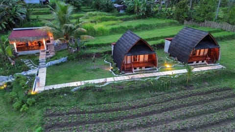 Property building, Natural landscape, Garden, Garden view