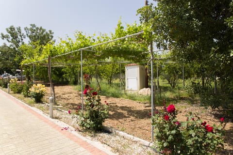 Eliofos Luxury Villa Villa in Paphos District