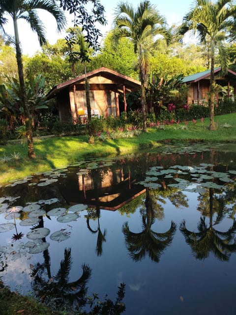 Rincon Verde Nature lodge in Alajuela Province