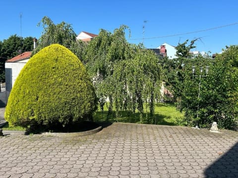 Garden view, Inner courtyard view