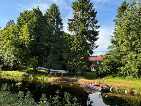 Other, River view